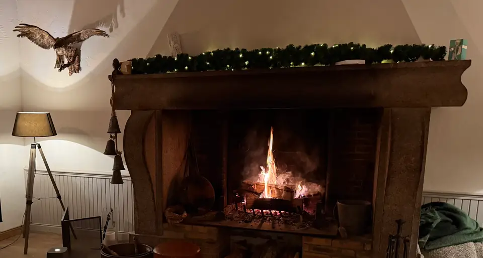 The big open fire in winter, with a mounted bird of prey on the wall beside it.