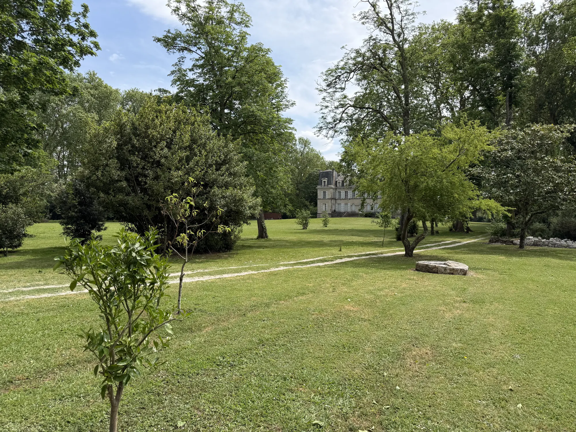 Het park: gemaaid gras, oude bomen, en het kasteel klein in de verte.