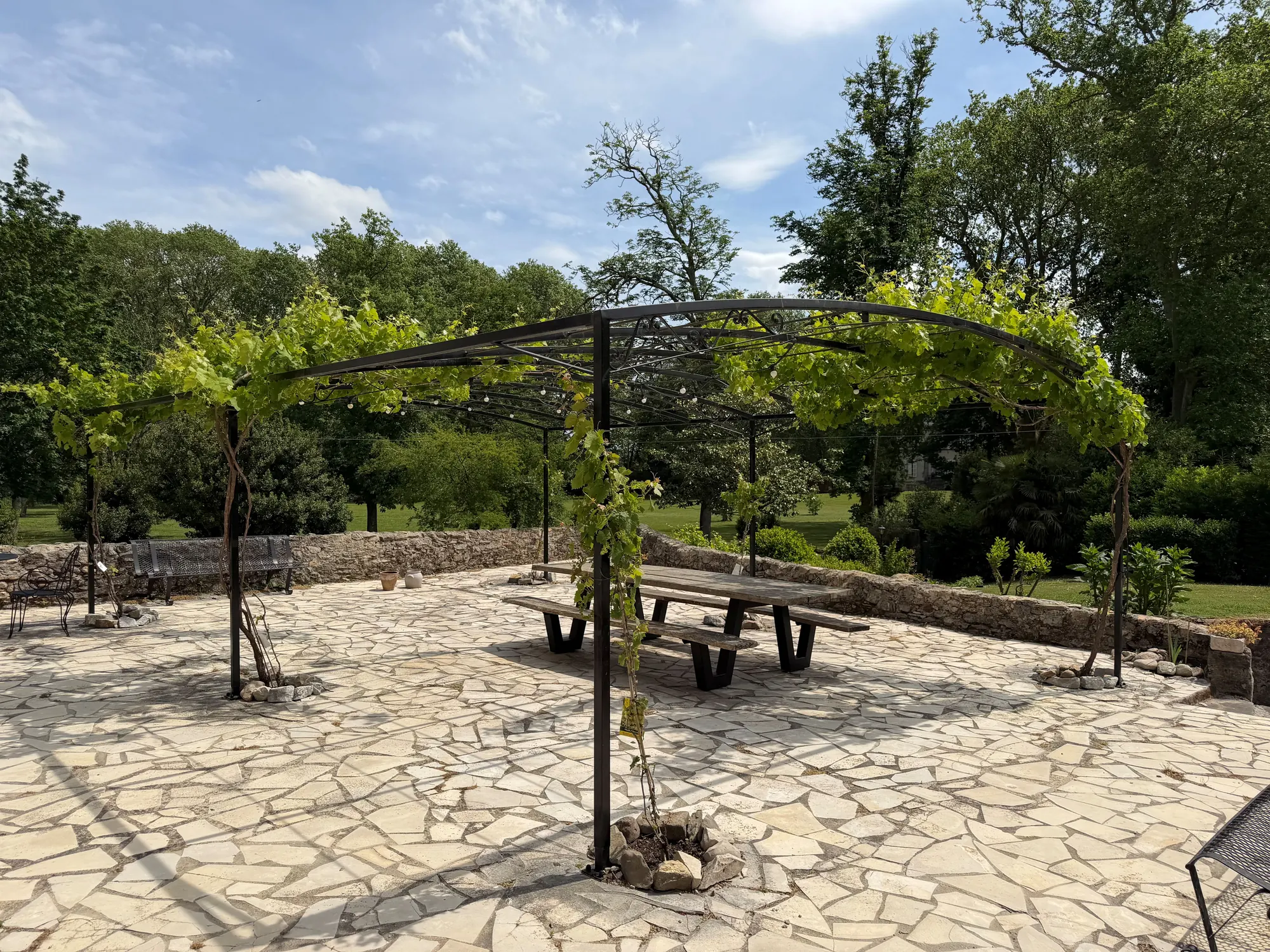 Het stenen terras onder de ijzeren pergola met druif, met banken rond een lange tafel.